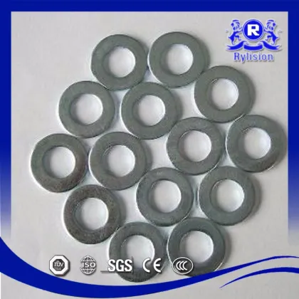 X2CrNi19-11 Stainless Steel Nord Lock Washer
