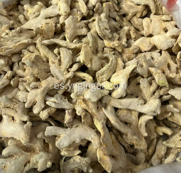 Certificado de Análisis de Vegetales Trozos de Jengibre Seco