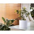 Indoor Cylinder Round Planter Pot