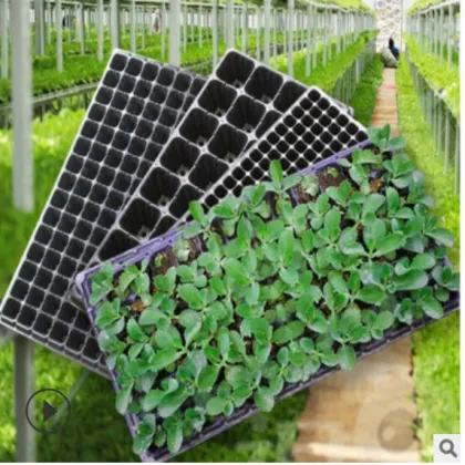 Titans Plastic Nursery Trays & Lids for Gardening & Greenhouse Use