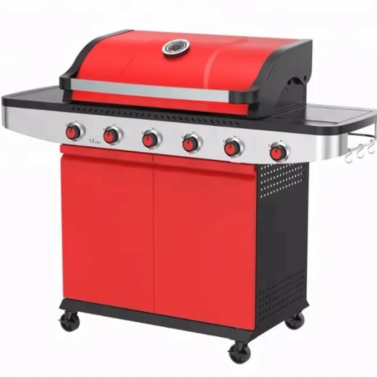 Factory Custom Bbq Gas Grill Portable High Quality Burner Stainless Bbq Standing Gas Grill