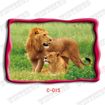 Leon Picture 3d Post Card 