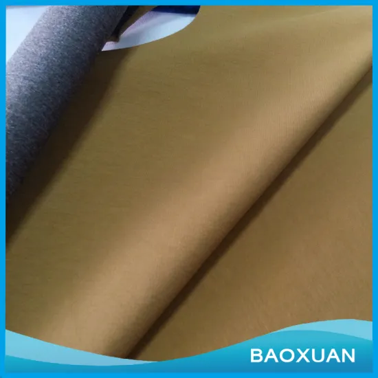 polyester double sides interlock fashion fabric for garment