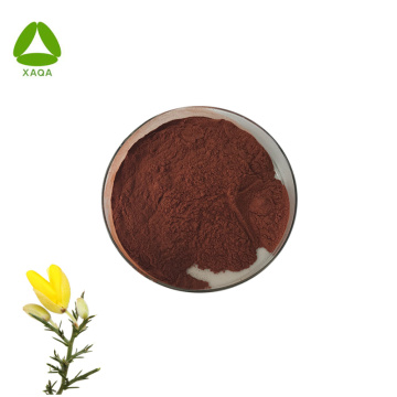 Antioxidant Aspalathus Linears Rooibos Extract Powder