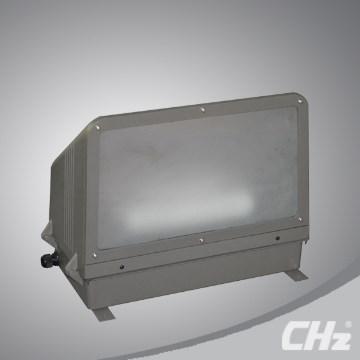 40W Induction garden lamp TY05 most popular