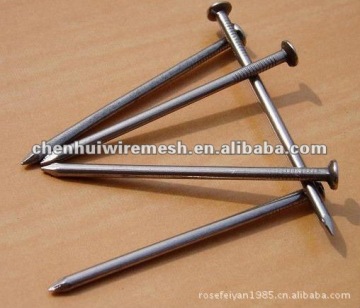 galvanized common nail