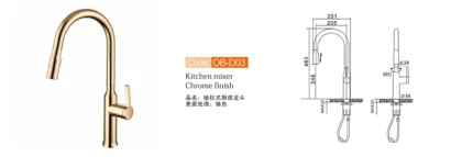 Hot Cold Water Sink Pulldown Kitchen Golden Faucet