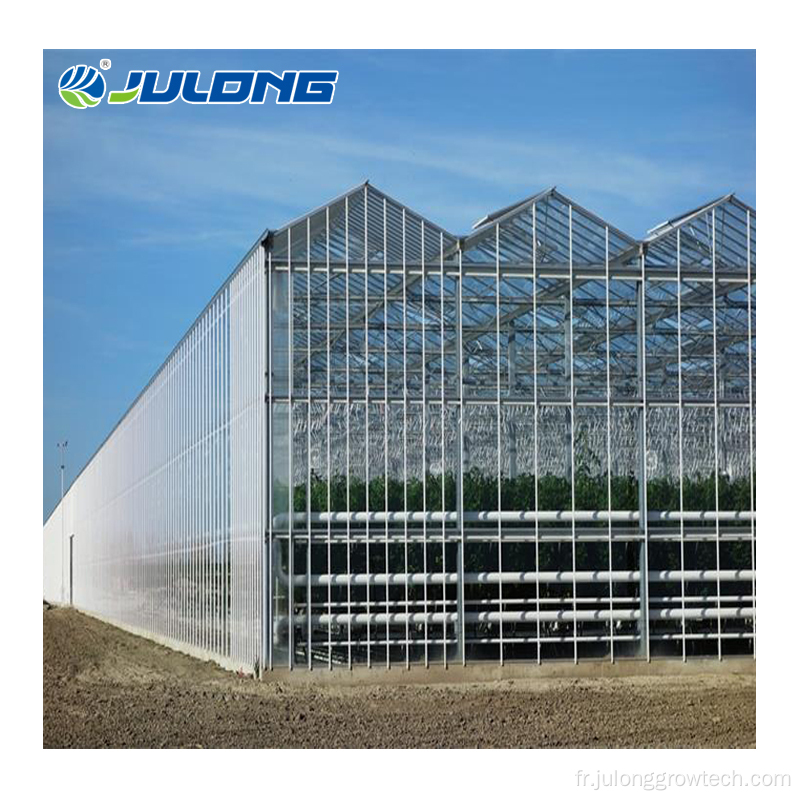 Greenhouse en verre de plantation de légumes hydroponiques