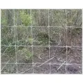 Galvanized Wire Horse Grassland Net Safety Fence