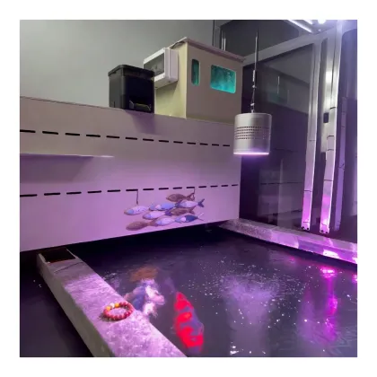 Koi Pond Drum Filter System for Fish Farming