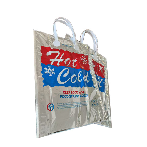 Temperature control bag for beach trips