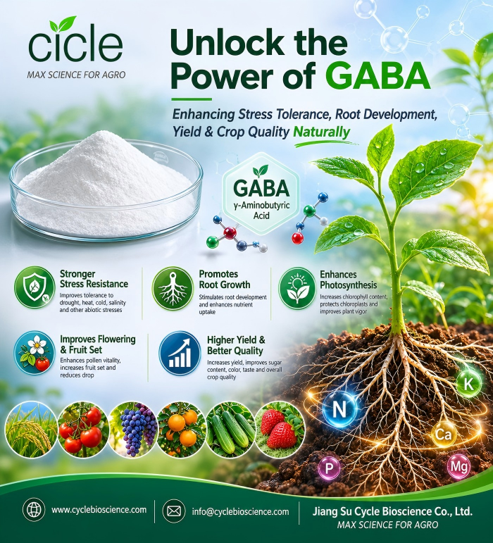 GABA(1)