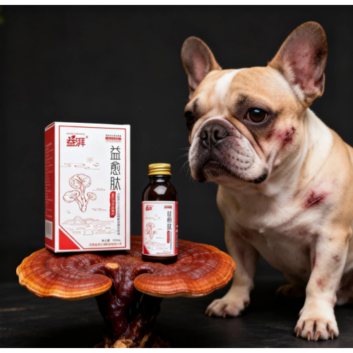 Pet Yara İyileştirici Besleyici Sıvı