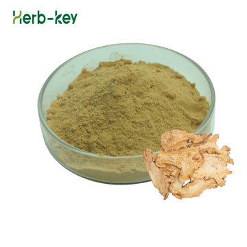 Angelica Sinensis Powder Angelica Sinensis 뿌리 추출물