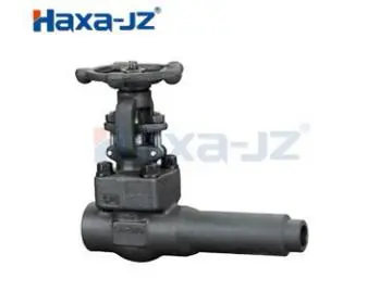 Gate Valve (Extended Body Forged)