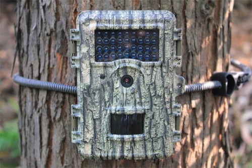 Trail Game Game Camera