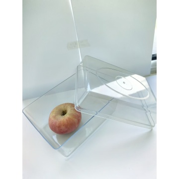 Durable Injection Molding Seed Germination Plastic Box