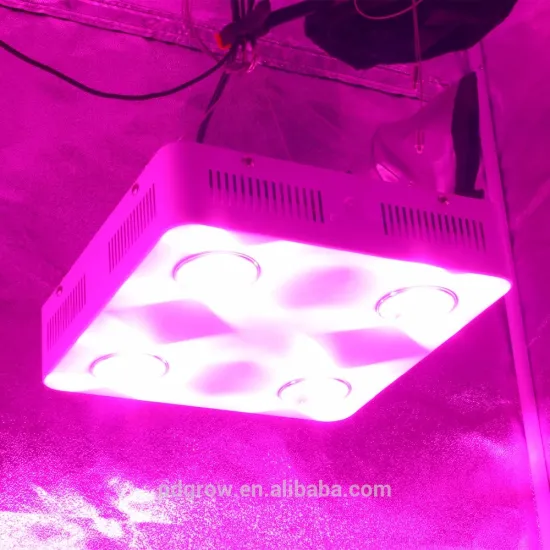 High Power Full Spectrum COB LED Grow Light for Greenhouse 300W 600W