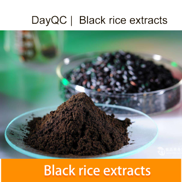 Estratto di riso nero in polvere