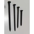 drywall screw black phillips