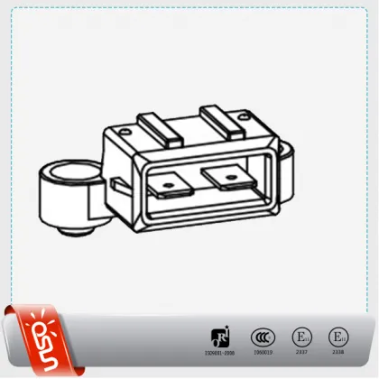 Vehicle Snail Horn Bosch Car Horn for VW