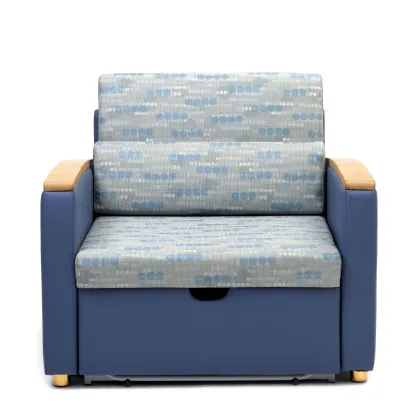 2024 Medical Sofabed Sleeper
