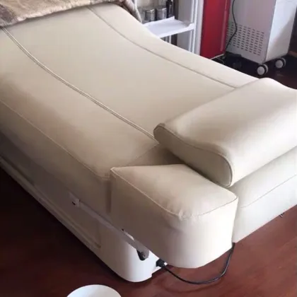 Beauty Salon Furniture Electric beauty facial Bed