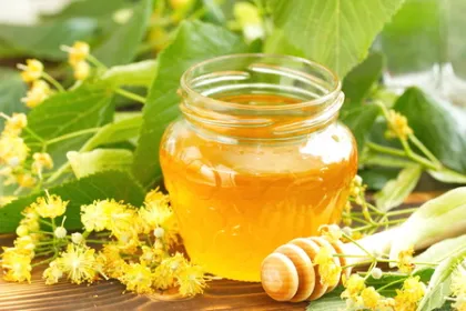bulk packaging pure liden honey new crop