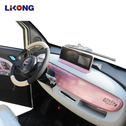 2024 Pure Electric EV Mini Small Car