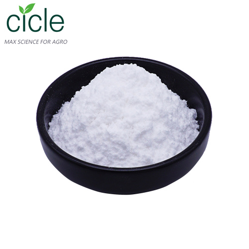 L-Arginine Arginine Powder 99%