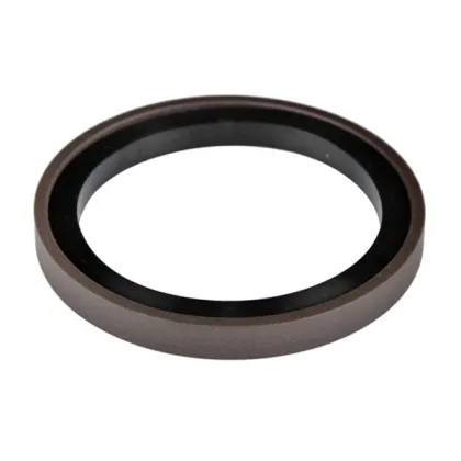 SPG PTFE+NBR cylinder piston oil seal