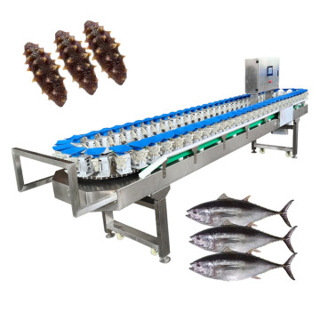 Automatic Fish and Sea Cucumber Fruit Vegetable Carrot Grading Sorting Machine