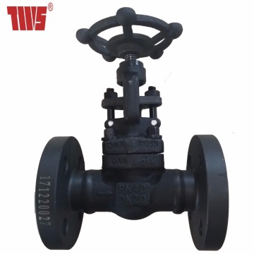 DN20 PN40 Wap Globe Injap Harga