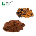 direct chaga mushroom extract powder