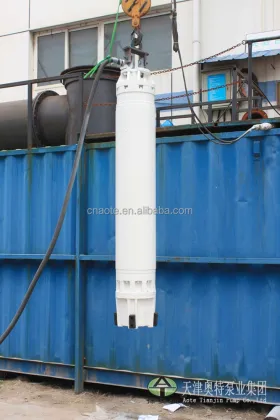 Electric AC Synchronous Motor