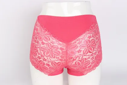 New fation ladys Hollow out sexy Briefs under wear lace fabric briefs knickers under lace under wear color