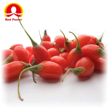 Red Power QIZITO the fruit of chinese wolfberry high quality heigouqi organic wolfberry fruit of wolfberry