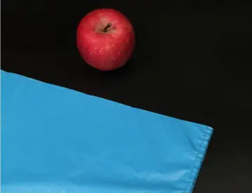 PE Carrier Shopping Bags
