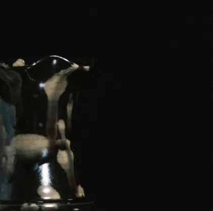 Hawksbill partridge Flower mouth bottle