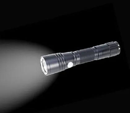 Explosion Proof Flashlight