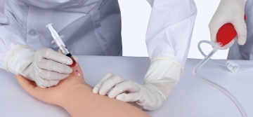 Modello di braccio per allenamento per l'arteria e le vene