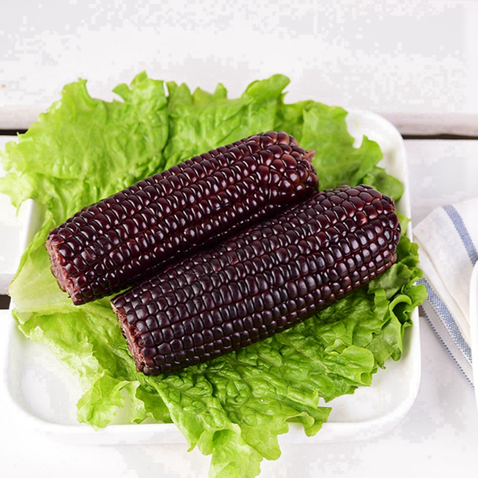 Vacuum Seal Corn on The Cob