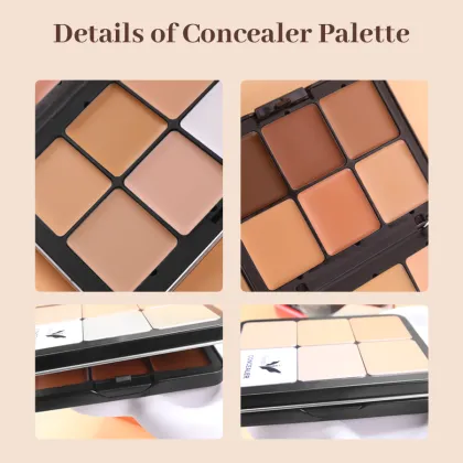 Custom Wholesale Private Label Makeup Beauty Cosmetic 12 Color Concealer Palette