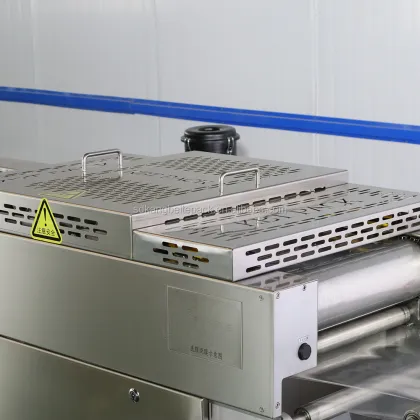 Thermoforming Vacuum Packaging Machine for Gouda Cheese Wedge