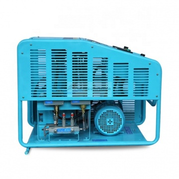 Custom Wholesale Oil-Free Oxygen Compressors and Boosters (Gow-3/4-150)