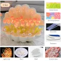 Floral Tulip Shell Night Light para la decoración del dormitorio