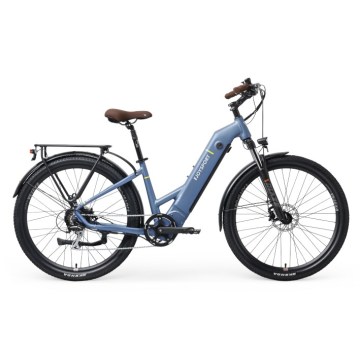 Qualified Mountain Specialised Ebike