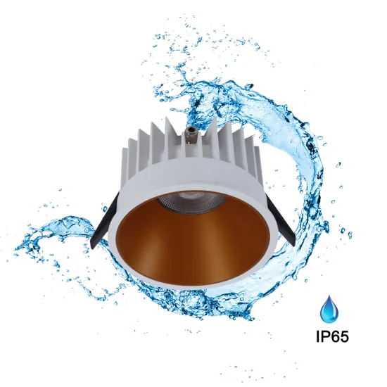 IP65 Waterproof Ceiling Lamp 20W/30W AC220V LED Downlight