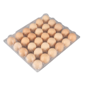 12 Holes Clear Egg Box Plastic Egg Tray