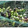 olive safety net plastic olive collect net